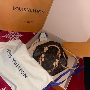 Brand new Lv speedy 25